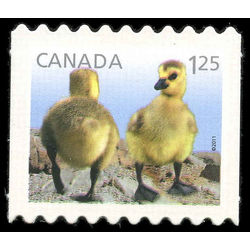 canada stamp 2431i canada geese 1 25 2011