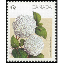 canada stamp 2896b hydrangea arborescens 2016