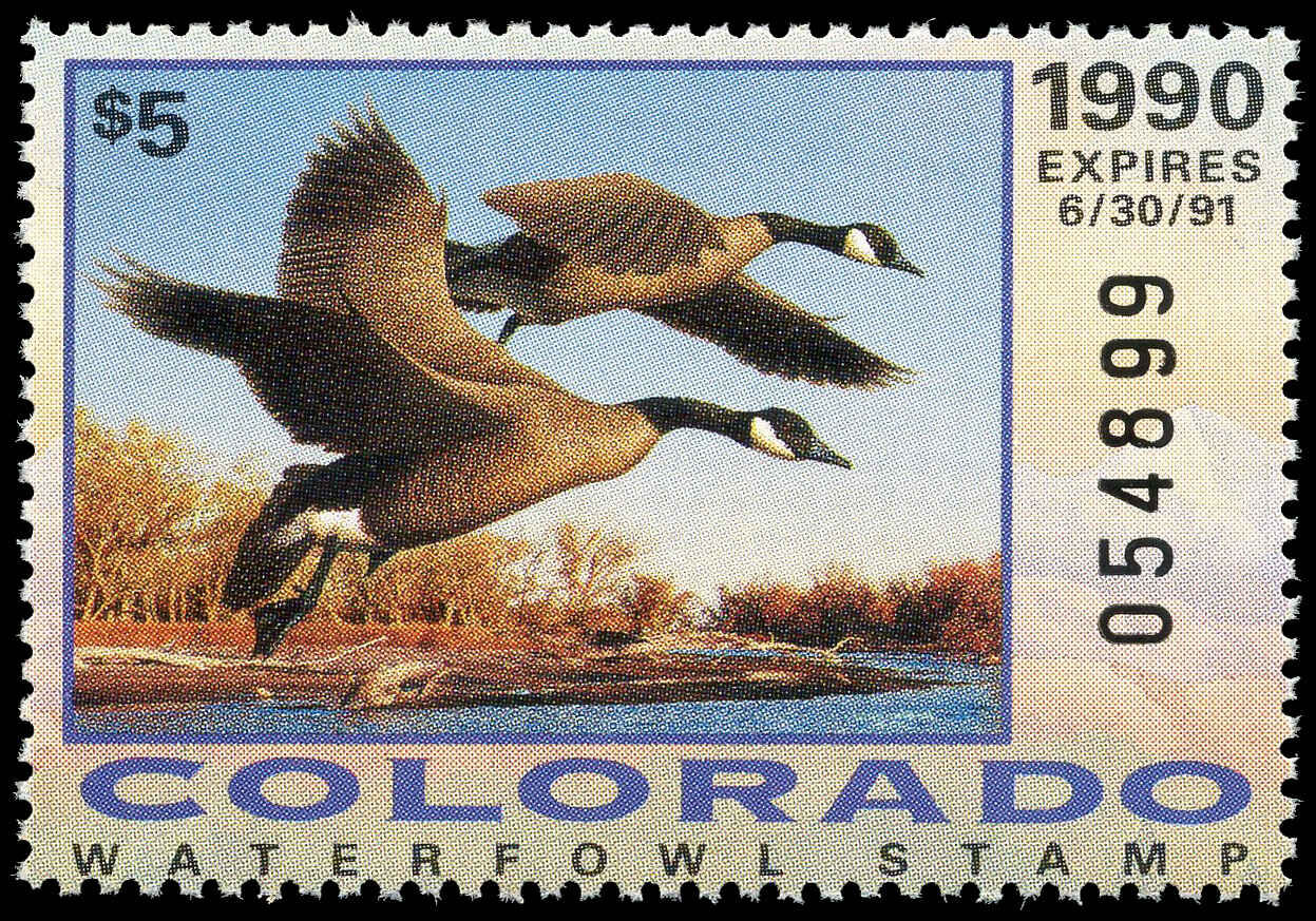 Buy US Hunting Permit RW CO1 Colorado Canada geese 1990 5