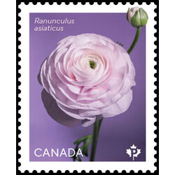 canada stamp 3372b ranunculus flower 2023