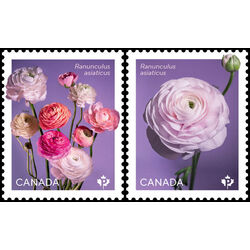 canada stamp 3372a b ranunculus 2023