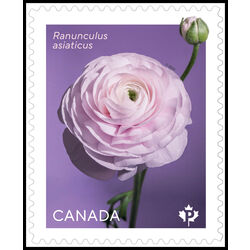 canada stamp 3376 ranunculus flower 2023