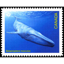 canada stamp 3331i balaenoptera musculus 2022