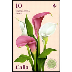 canada stamp 3323a calla 2022