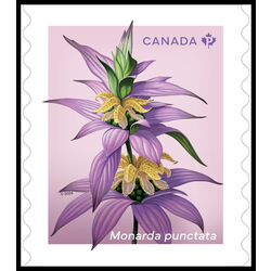 canada stamp 3415 monarda punctata 2024