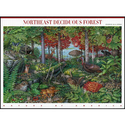 us stamp postage issues 3899 northeast deciduous forest 2005