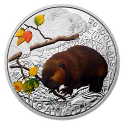 2014 the beaver stamp and coin set