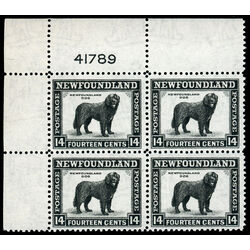 newfoundland stamp 261 newfoundland dog 14 1944 PB UL %2341789 005