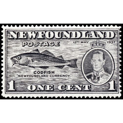 newfoundland stamp 233i codfish 1 1937