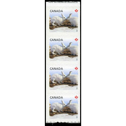 canada stamp 2426i arctic hare 2011 M VFNH END