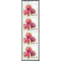 canada stamp 2357i striped coralroot 2010 M VFNH END