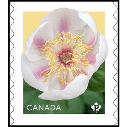 canada stamp 3487 peonies white 2025