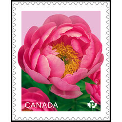 canada stamp 3488 peonies pink 2025